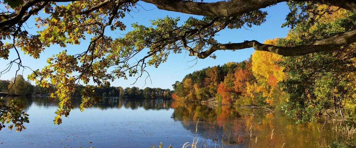 Psychologické poradenství KOMA